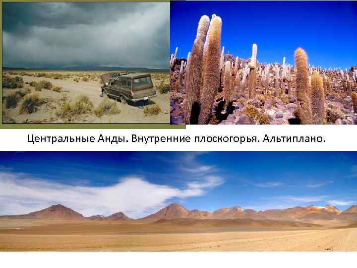 Центральные Анды. Внутренние плоскогорья. Альтиплано. 