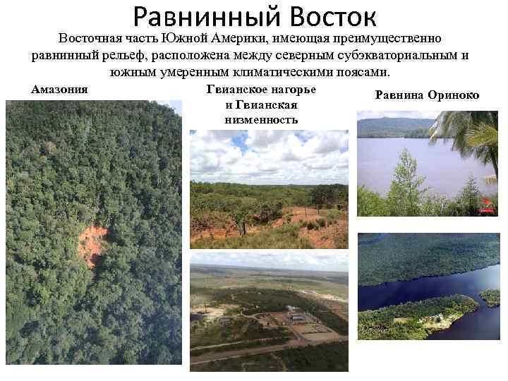 Равнинный Восток Восточная часть Южной Америки, имеющая преимущественно равнинный рельеф, расположена между северным субэкваториальным