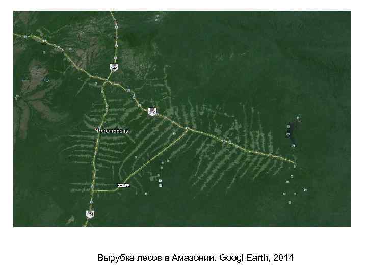 Вырубка лесов в Амазонии. Googl Earth, 2014 