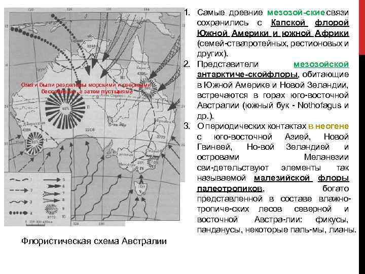 Очаги были разделены морскими и озерными бассейна ми, а затем пустынями Флористическая схема Австралии