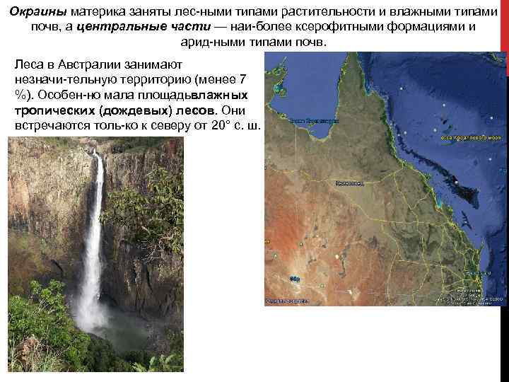 Окраины материка заняты лес ными типами растительности и влажными типами почв, а центральные части