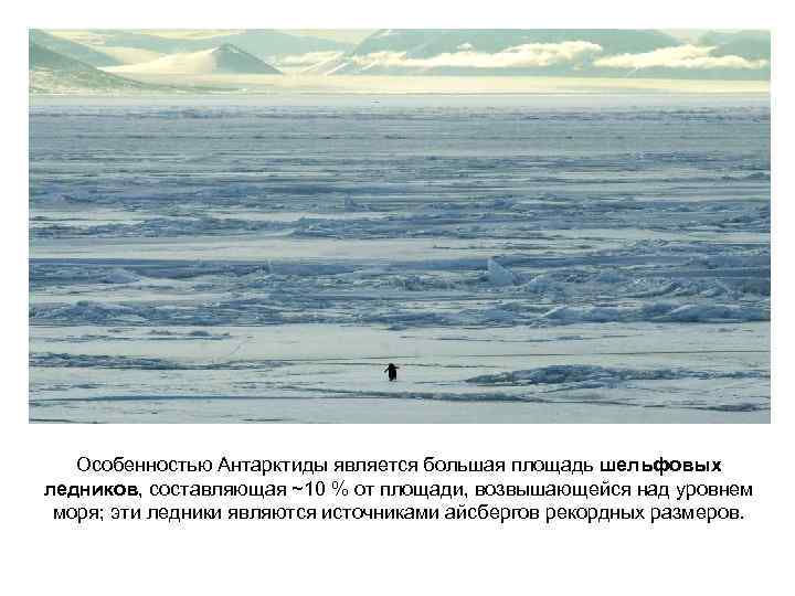 Особенностью Антарктиды является большая площадь шельфовых ледников, составляющая ~10 % от площади, возвышающейся над
