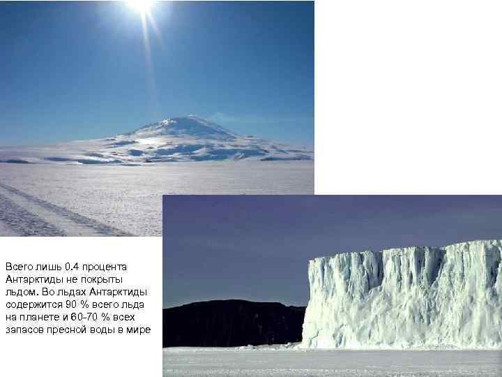 Всего лишь 0. 4 процента Антарктиды не покрыты льдом. Во льдах Антарктиды содержится 90