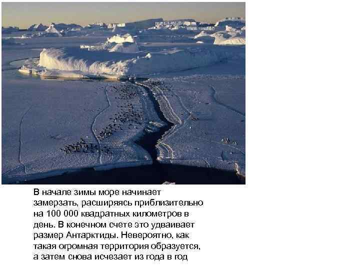В начале зимы море начинает замерзать, расширяясь приблизительно на 100 000 квадратных километров в