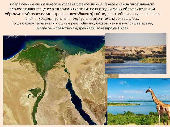 Современные климатические условия установились в Сахаре с конца плювиального периода в плейстоцене: в плювиальные