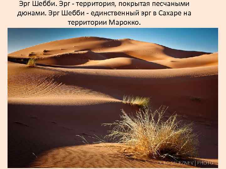 Эрг Шебби. Эрг - территория, покрытая песчаными дюнами. Эрг Шебби - единственный эрг в
