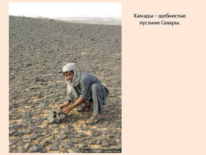 Хамады – щебнистые пустыни Сахары. 