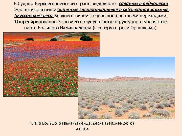 В Судано-Верхнегвинейской стране выделяются саванны и редколесья Суданских равнин и влажные экваториальные и субэкваториальные