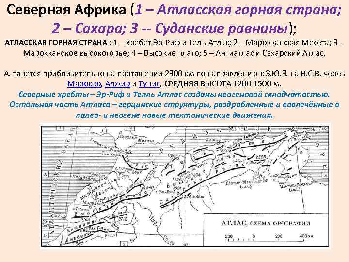 В каком направлении протянулись атласские горы