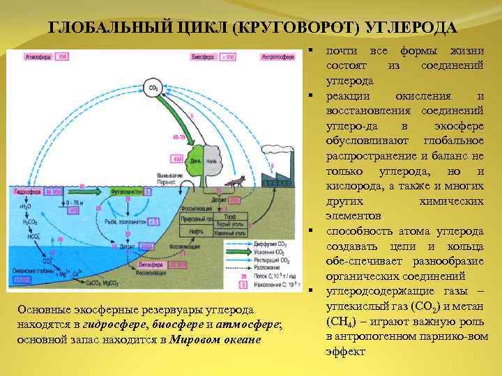 На земле огромных масштабах осуществляется круговорот воздушных. Геохимический цикл углерода схема. Круговорот углерода в гидросфере. Схема глобального цикла углерода. Основные элементы круговорота углерода.