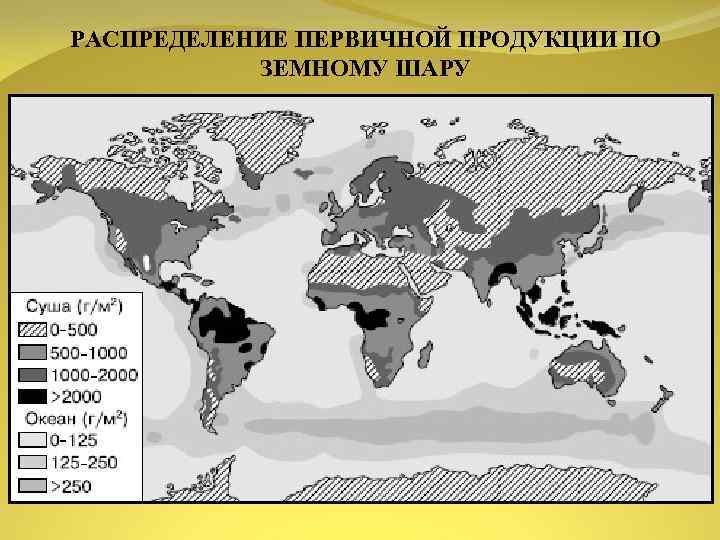 РАСПРЕДЕЛЕНИЕ ПЕРВИЧНОЙ ПРОДУКЦИИ ПО ЗЕМНОМУ ШАРУ 