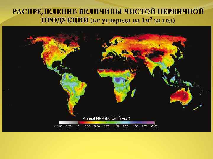 РАСПРЕДЕЛЕНИЕ ВЕЛИЧИНЫ ЧИСТОЙ ПЕРВИЧНОЙ ПРОДУКЦИИ (кг углерода на 1 м 2 за год) 