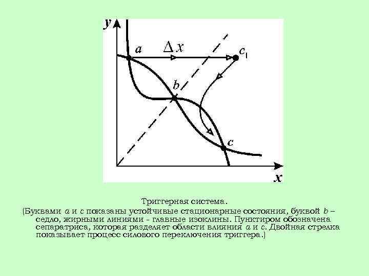 Триггерная система. (Буквами a и c показаны устойчивые стационарные состояния, буквой b – седло,