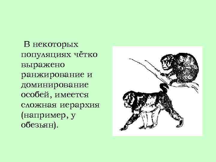 В некоторых популяциях чётко выражено ранжирование и доминирование особей, имеется сложная иерархия (например, у