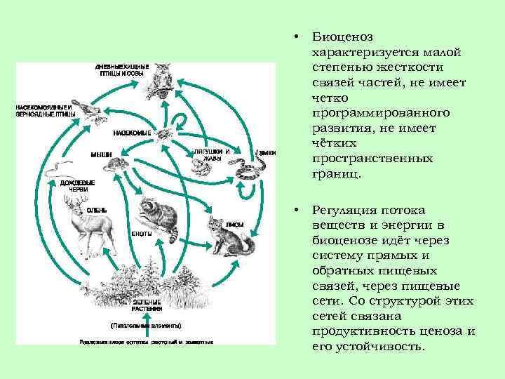  • Биоценоз характеризуется малой степенью жесткости связей частей, не имеет четко программированного развития,