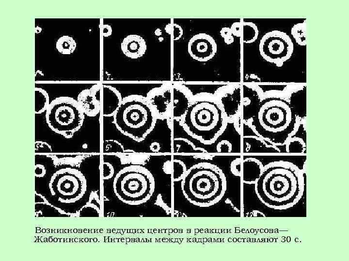 Возникновение ведущих центров в реакции Белоусова— Жаботинского. Интервалы между кадрами составляют 30 с. 