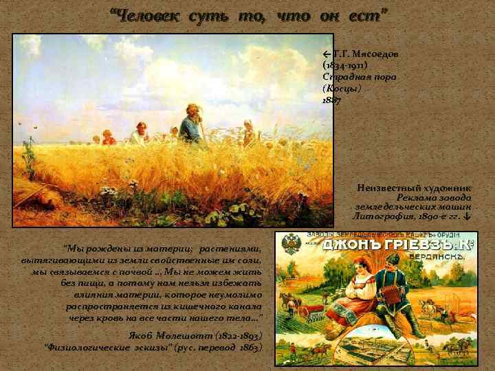 “Человек суть то, что он ест” ← Г. Г. Мясоедов (1834 -1911) Страдная пора