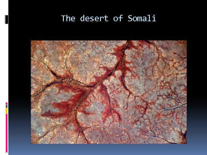 The desert of Somali 