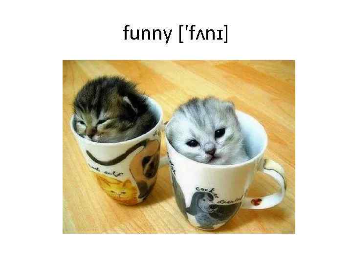 funny ['fʌnɪ] 