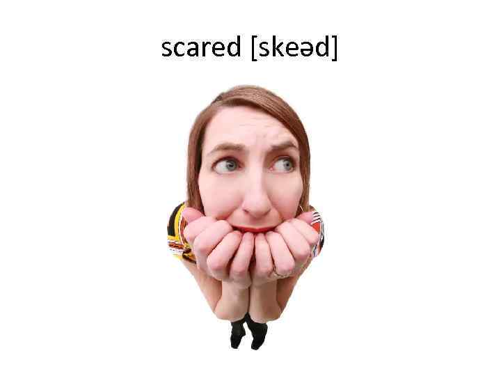 scared [skeəd] 