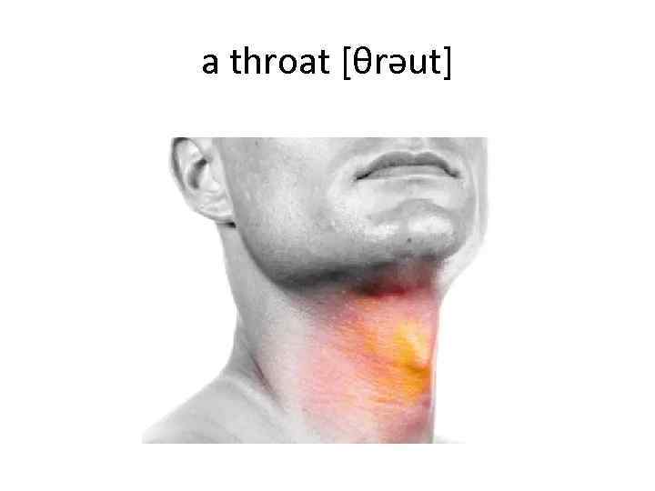a throat [θrəut] 