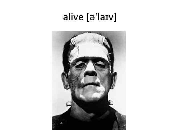 alive [ə'laɪv] 