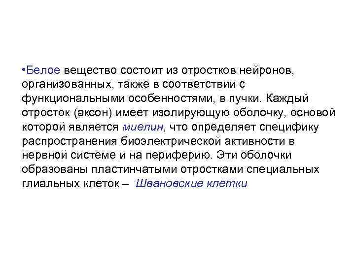  • Белое вещество состоит из отростков нейронов, организованных, также в соответствии с функциональными
