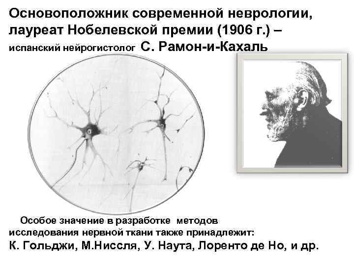 Основоположник современной неврологии, лауреат Нобелевской премии (1906 г. ) – испанский нейрогистолог С. Рамон-и-Кахаль
