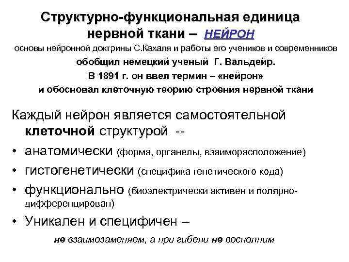 Структурно-функциональная единица нервной ткани – НЕЙРОН основы нейронной доктрины С. Кахаля и работы его