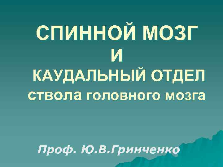 СПИННОЙ МОЗГ И КАУДАЛЬНЫЙ ОТДЕЛ ствола головного мозга Проф. Ю. В. Гринченко 