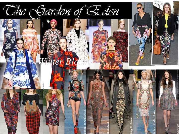 The Garden of Eden 