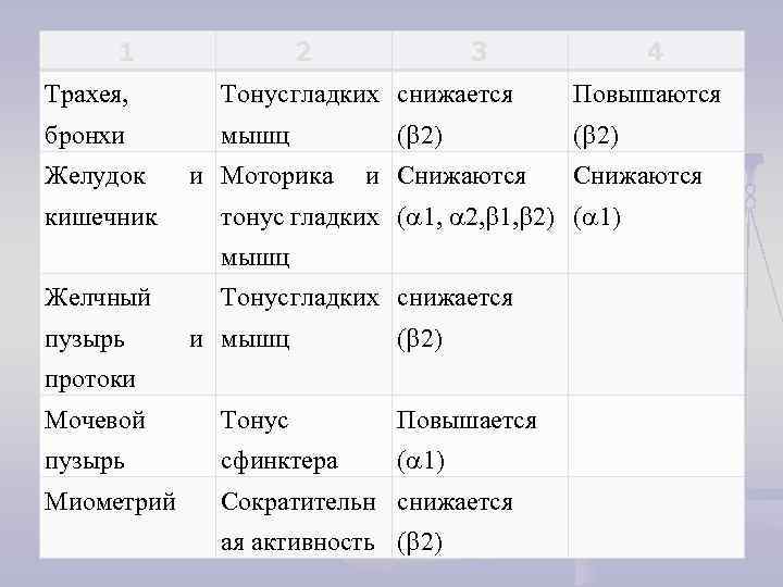 1 2 3 4 Трахея, Тонус гладких снижается Повышаются бронхи мышц ( 2) Желудок
