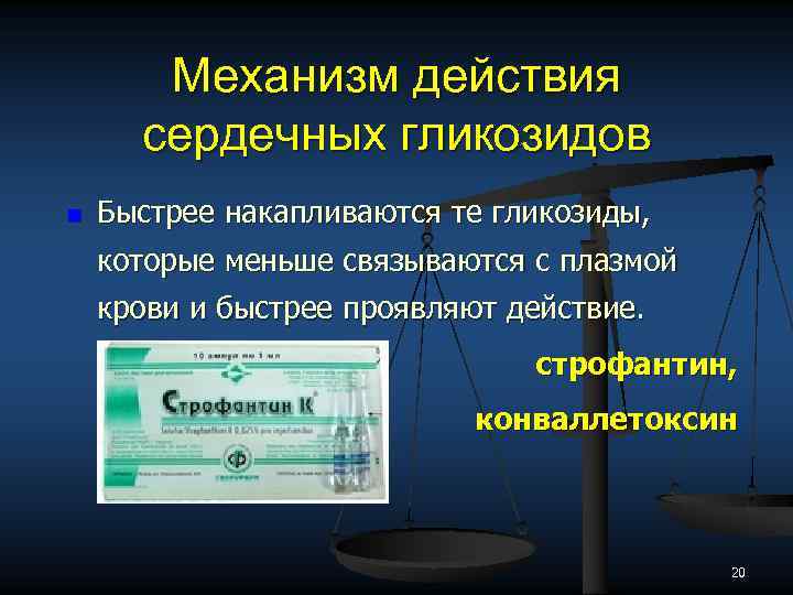 Механизм действия сердечных гликозидов n Быстрее накапливаются те гликозиды, которые меньше связываются с плазмой