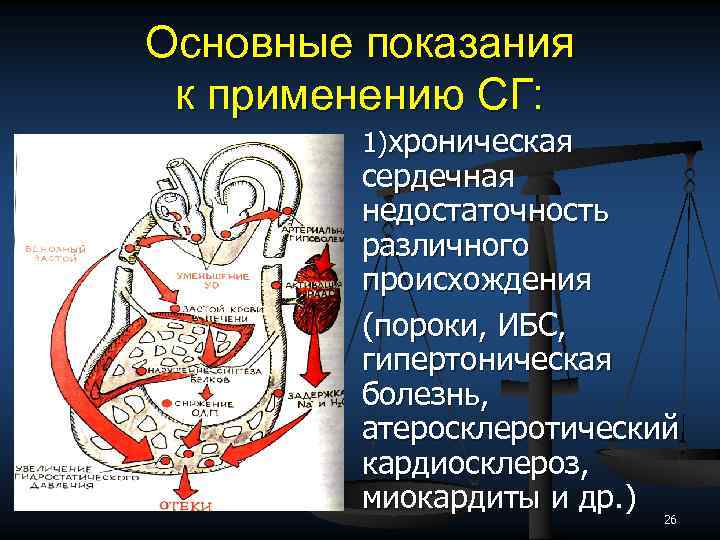 Основные показания к применению СГ: 1)хроническая сердечная недостаточность различного происхождения (пороки, ИБС, гипертоническая болезнь,