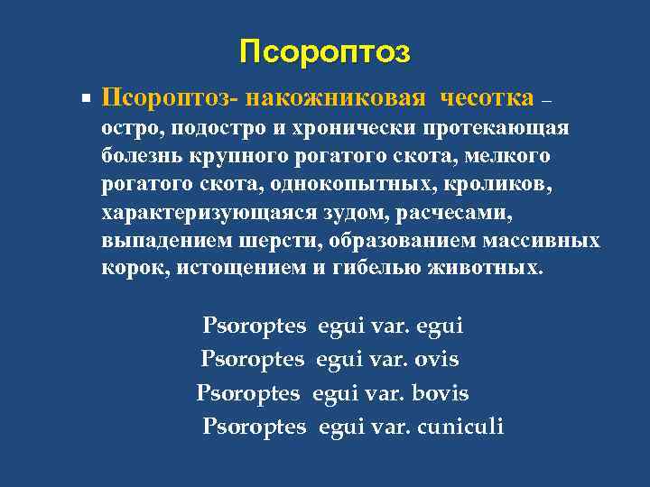 Псороптоз Псороптоз- накожниковая чесотка – остро, подостро и хронически протекающая болезнь крупного рогатого скота,