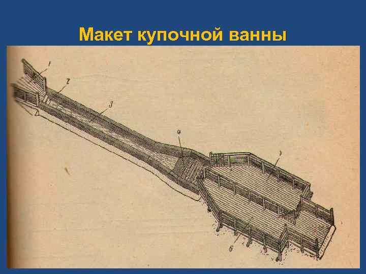 Макет купочной ванны 