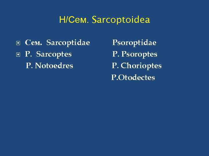Н/Сем. Sarcoptoidea Сем. Sarcoptidae P. Sarcoptes P. Notoedres Psoroptidae P. Psoroptes P. Chorioptes P.