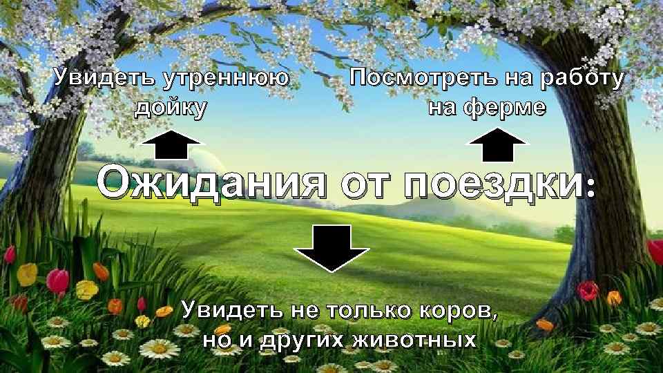 Увидеть утреннюю дойку Посмотреть на работу на ферме Ожидания от поездки: Увидеть не только