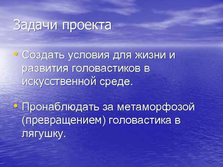 Задачи проекта • Создать условия для жизни и развития головастиков в искусственной среде. •