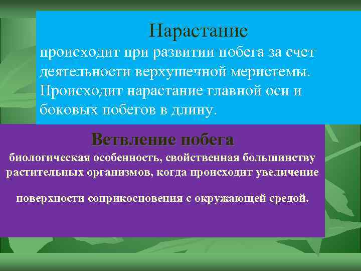 Нарастание происходит при развитии побега за счет деятельности верхушечной меристемы. Происходит нарастание главной оси