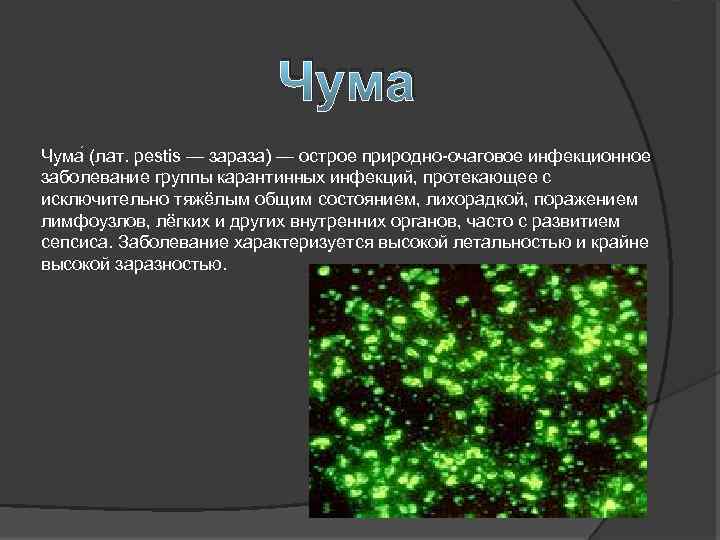 Чума (лат. pestis — зараза) — острое природно-очаговое инфекционное заболевание группы карантинных инфекций, протекающее