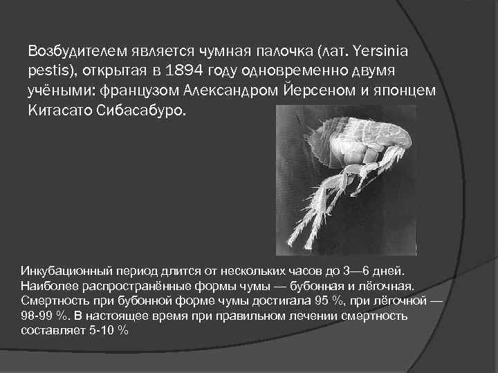 Возбудителем является чумная палочка (лат. Yersinia pestis), открытая в 1894 году одновременно двумя учёными: