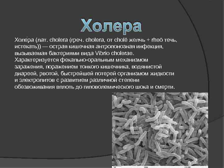 Холера Холе ра (лат. cholera (греч. cholera, от cholē желчь + rheō течь, истекать))