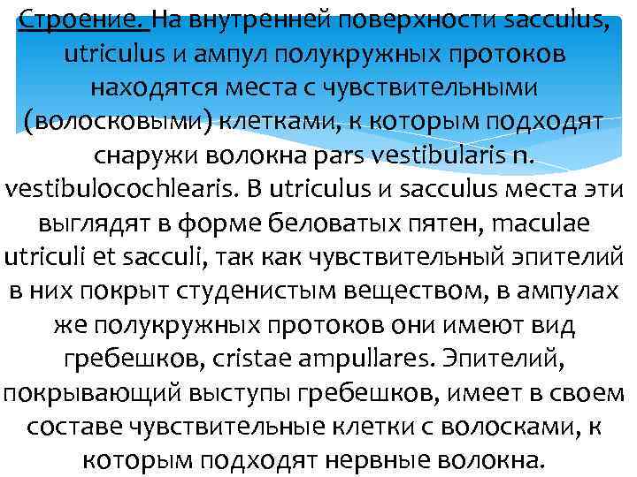 Строение. На внутренней поверхности sacculus, utriculus и ампул полукружных протоков находятся места с чувствительными