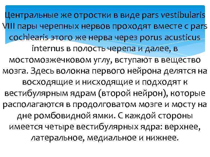 Центральные же отростки в виде pars vestibularis VIII пары черепных нервов проходят вместе с