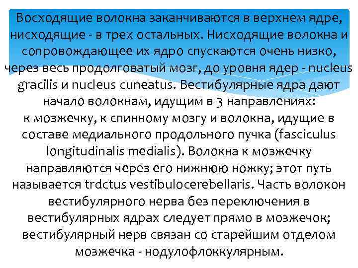 Восходящие волокна заканчиваются в верхнем ядре, нисходящие - в трех остальных. Нисходящие волокна и