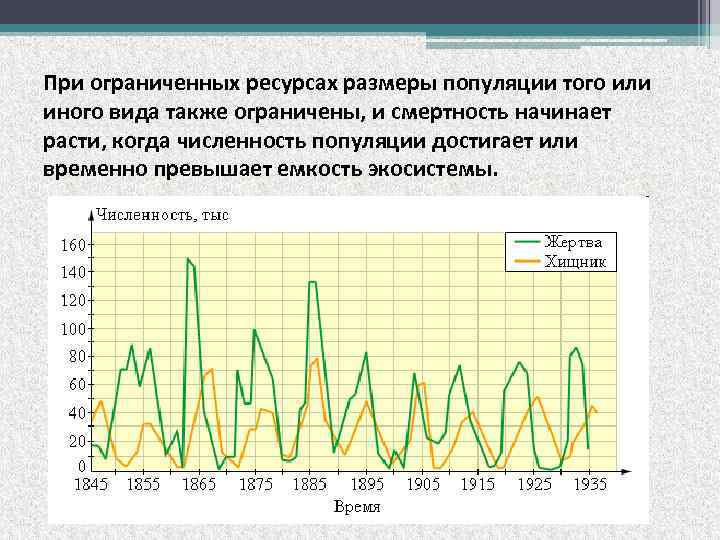 При ограниченных ресурсах размеры популяции того или иного вида также ограничены, и смертность начинает