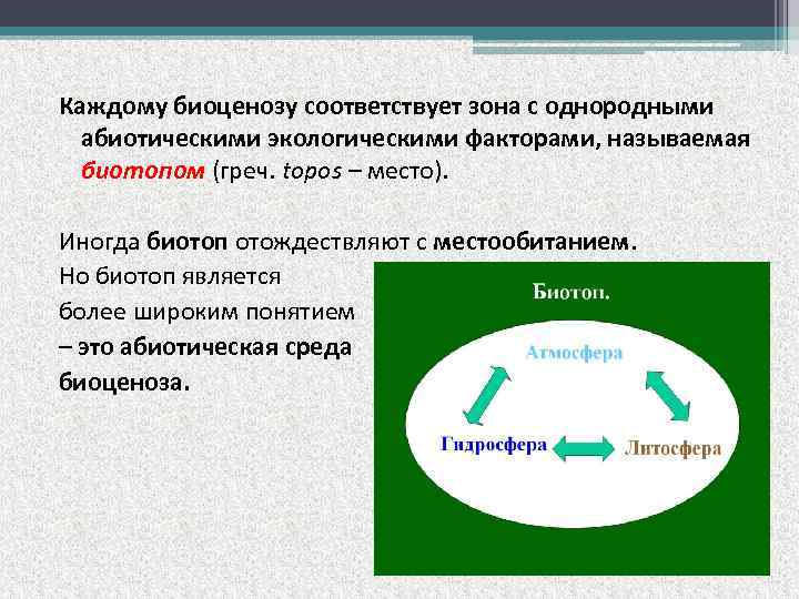 Каждому биоценозу соответствует зона с однородными абиотическими экологическими факторами, называемая биотопом (греч. topos –