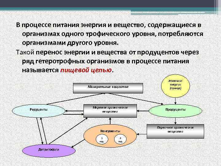 В процессе питания энергия и вещество, содержащиеся в организмах одного трофического уровня, потребляются организмами