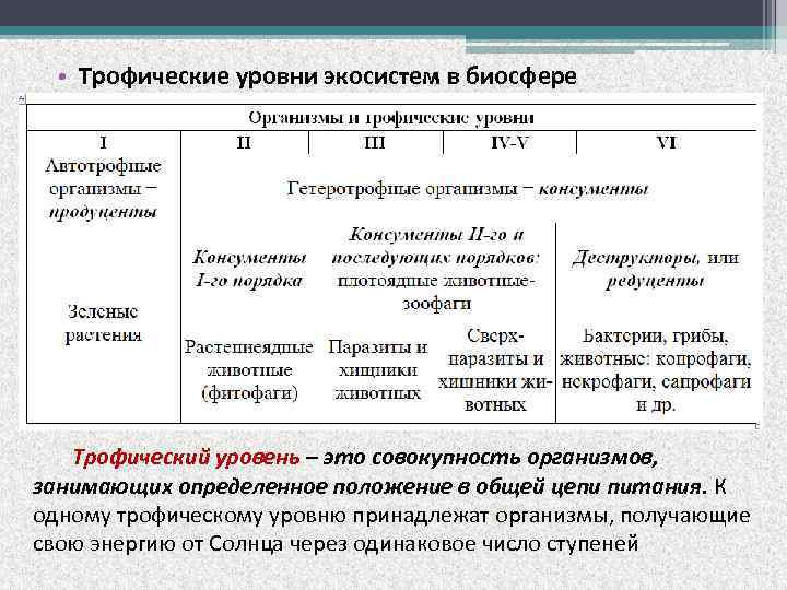 Трофические уровни. Трофические уровни экосистемы. Уровни экосистемы таблица. Трофические уровни экосистемы таблица. Уровни экологических систем.